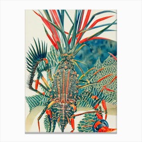 Spiny Lobster Vintage Graphic Watercolour Canvas Print