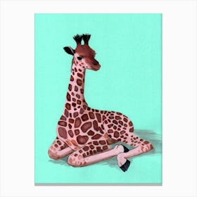 Giraffe Canvas Print