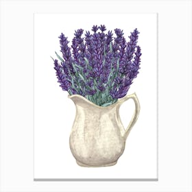 Lavender Flowers In A Jug Canvas Print