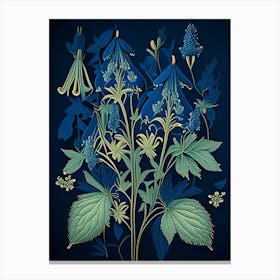 Blue Cohosh Herb Vintage Botanical Canvas Print