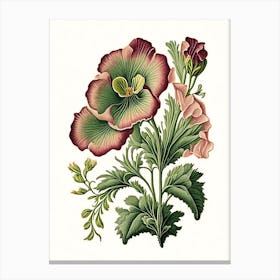 Primrose 3 Floral Botanical Vintage Poster Flower Canvas Print