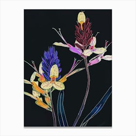 Neon Flowers On Black Prairie Clover 3 Canvas Print
