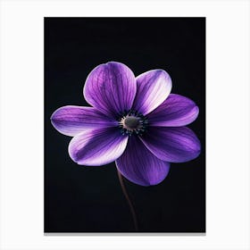 Purple Anemone Flower Canvas Print