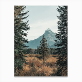 View Of Mountains From A Field Canvas Print