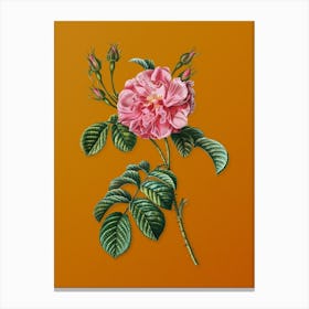 Vintage Pink Wild Rose Botanical on Sunset Orange n.0604 Canvas Print