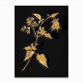 Vintage Bittersweet Botanical in Gold on Black n.0381 Canvas Print