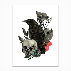 Crow And Skull hand drawn watercolor illustration Canvas Print