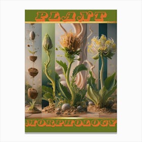 Plant Morphology  Canvas Print