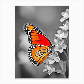 Butterfly On A Flower 2 Canvas Print