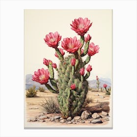 Vintage Cactus Illustration Austrocylindropuntia Subulata 1 Canvas Print