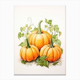 Lumina Pumpkin Watercolour Illustration 3 Canvas Print