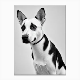 Basenji B&W Pencil dog Canvas Print