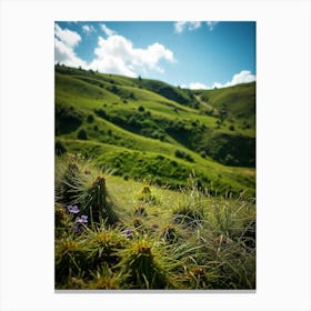 Green Hills With Purple Flowers Canvas Print