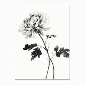 Chrysanthemum Canvas Print