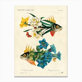 Flower Fish Canvas Print