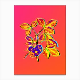 Neon Common Hoptree Botanical in Hot Pink and Electric Blue n.0246 Canvas Print