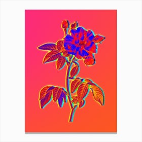 Neon French Rosebush with Variegated Flowers Botanical in Hot Pink and Electric Blue n.0065 Canvas Print