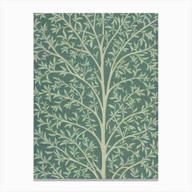 Willow Oak tree Vintage Botanical Canvas Print
