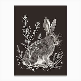Californian Rabbit Minimalist Illustration 3 Canvas Print