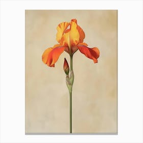 2024 May Poster Canvas Sng Iris 34 Canvas Print