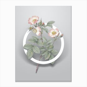 Vintage Short Styled Field Rose Minimalist Flower Geometric Circle on Soft Gray n.0306 Canvas Print