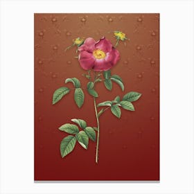 Vintage Stapelia Rose Bloom Botanical on Falu Red Pattern Canvas Print