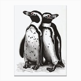 African Penguin Huddling For Warmth 1 Canvas Print