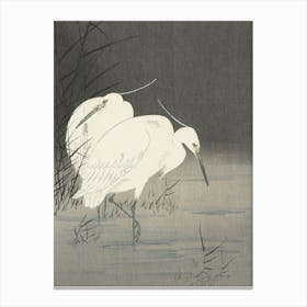 Japanese Ukiyo-E Egrets Canvas Print