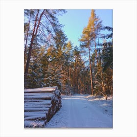 Snowy Forest Canvas Print