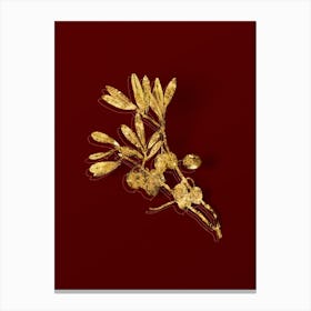 Vintage Olive Tree Branch Botanical in Gold on Red n.0053 Canvas Print