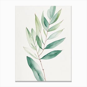 Wax Myrtle Leaf Minimalist Watercolour 1 Canvas Print