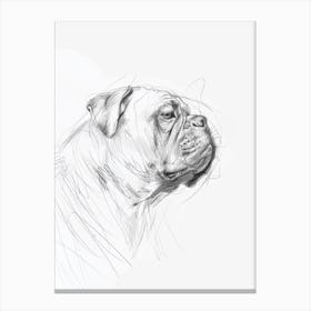 Bulldog Charcoal Line Sketch Canvas Print