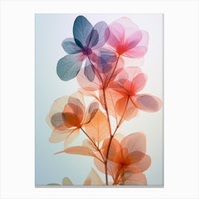 Elena Tupiga Botanical Chromatography Luminogram Double Expos Cd0414b5 C2be 4e1a Ab96 9d7eb0cebb1c 2 Canvas Print