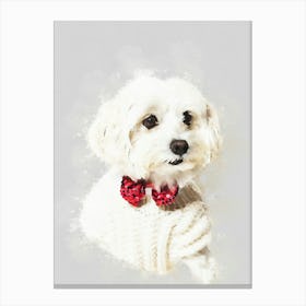 Maltese Dog 1 Canvas Print