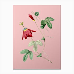 Vintage Red Passion Flower Botanical on Soft Pink n.0784 Canvas Print