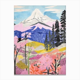 Mount Baker United States 3 Colourful Mountain Illustration Canvas Print