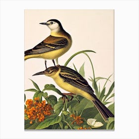 Lark James Audubon Vintage Style Bird Canvas Print