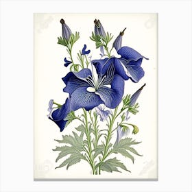 Bellflower 1 Floral Botanical Vintage Poster Flower Canvas Print