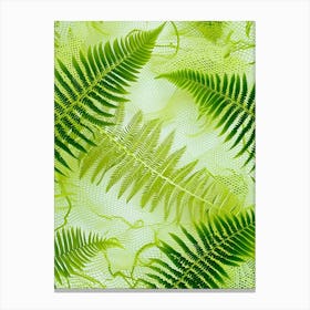 Pattern Poster Netted Chain Fern 2 Canvas Print
