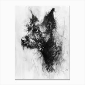 Belgian Laekenois Charcoal Line Canvas Print