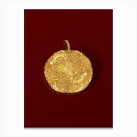 Vintage Adam's Apple Botanical in Gold on Red n.0099 Canvas Print