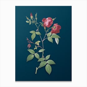 Vintage Velvet China Rose Botanical Art on Teal Blue n.0036 Canvas Print