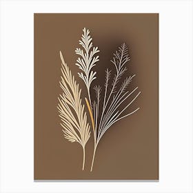 Fennel Seed Spices And Herbs Retro Minimal 3 Canvas Print