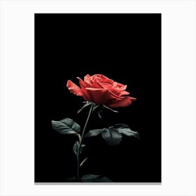 Black Rose 9 Canvas Print