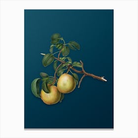Vintage Pear Botanical Art on Teal Blue n.0925 Canvas Print