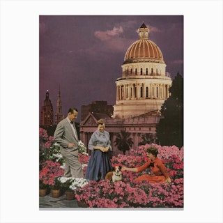 Garden State Purple Canvas Print
