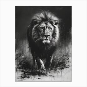 African Lion Charcoal Drawing Lion Charcoal Drawing 1 Canvas Print