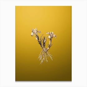 Gold Botanical Sand Iris on Mango Yellow n.1061 Canvas Print