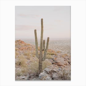 Saguaro Cactus Sunset Canvas Print