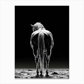 Horse In Black And White Canvas Print